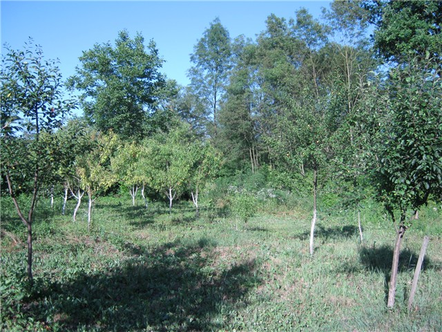 na ranču